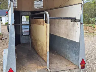 Hestetrailer udlejning 