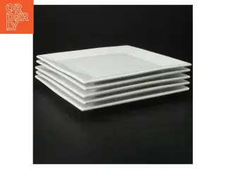 5 Hvide firkantede tallerkener fra Trend (str. 19 x. 19 cm)