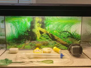 54 liters akvarie med udstyr 