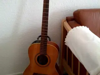 Takamine serie FP-3175 western guitar ( dame )