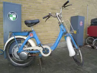 Knallert, Honda P50 MOMSFRI