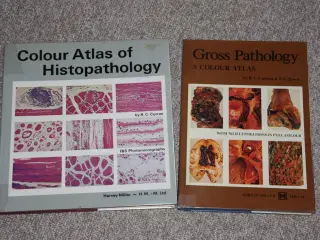 Colour Atlas of Histopathology