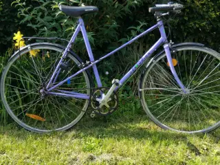 Centurion mixte 