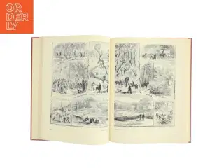 Civil War in Pictures (Bog)