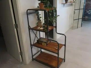 Reol med indhold / hylder med indhold / plante m.m.