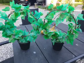 Kunstige planter Efeu 