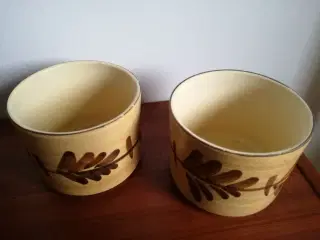 Urtepotter