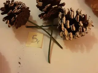Natur juledekoration pynt. Samlede pris. 28.00kr. 