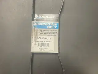 Quicksilver Belt-Serpentine