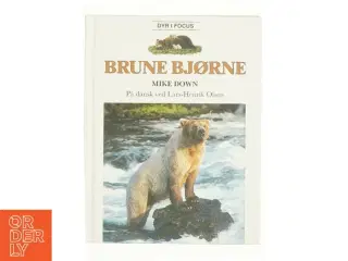 Brune bjørne af Mike Down (Bog)
