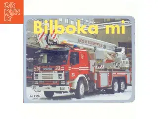 Bilboka mi