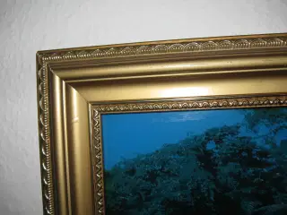 Maleri