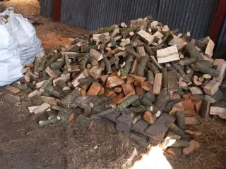 Brænde, løvtræ sælges