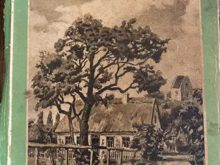 Forskellige romaner af ældre slags