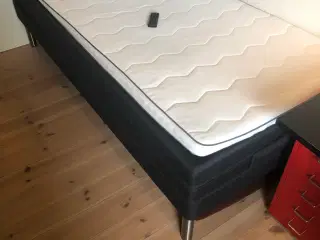 Elevationsseng Dreamzone