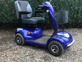 El scooter