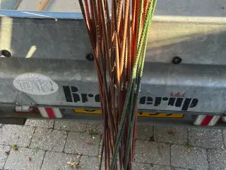 Hegns pæle