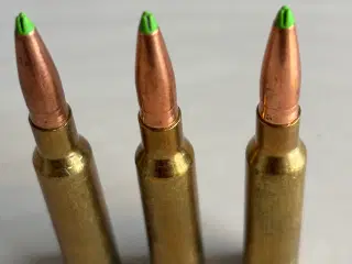 Sauer 202 købes i 6,5x55