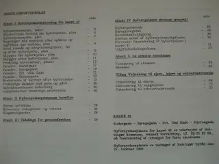 byfornyelse i helsingør - karre 42 feb. 89