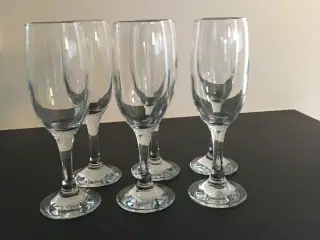6 nye flotte og elegante Champagneglas 23 cl.