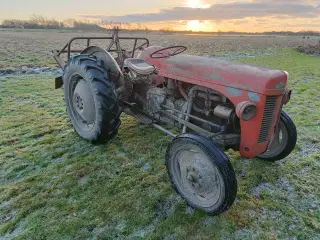 Massey Ferguson 31/29