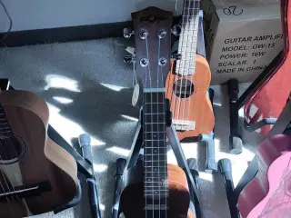 Ukulele, Fzone, Demomodel