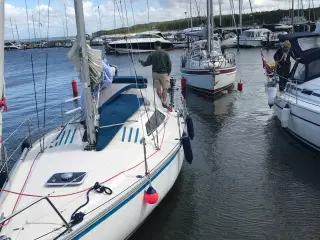 Kelt 29 - Fin sejlbåd 