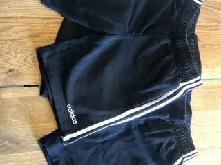 Adidas short