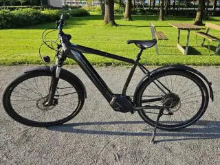 Cannondale Tesoro NEO X 