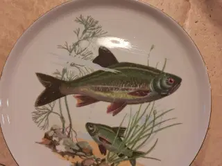 Desert tallerkener med Fiskemotiver