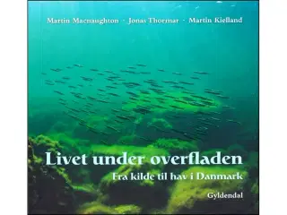 Livet under overfladen - fra kilde til hav i DK