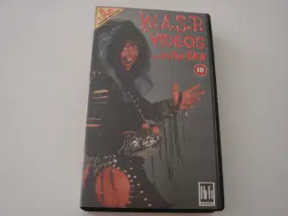 Wasp vhs cassette