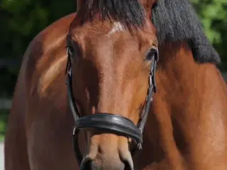 3 års hoppe
