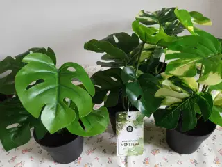 Kunstige planter - 20 cm