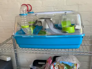 Hamster + bur og diverse tilbehør sælges