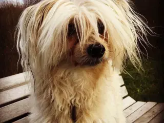 En der kan blive min bedste ven