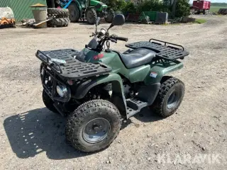 Atv Motortek 175