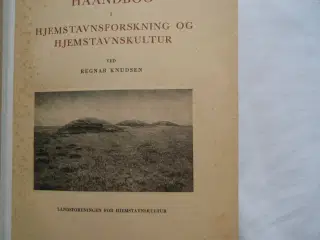 Hjemstavnsforskning