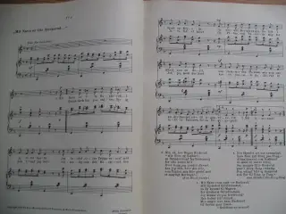 En lystelig Visebog. Eenogtyve viser
