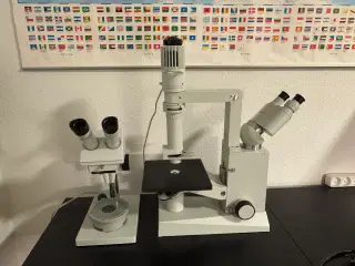 Carl Ziess Jena mikroskop