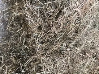Wrap hø