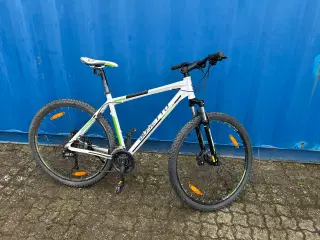Busetto Grande 29” Mountainbike – Grøn/Hvid