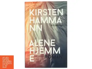 Alene hjemme : roman (Klassesæt) af Kirsten Hammann (Bog)