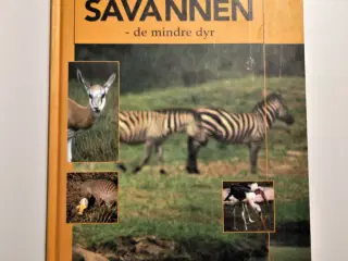 Savannen - de mindre dyr. Af Birthe Kot