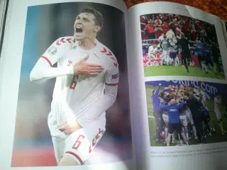 Vejen til Wembley, Ole Sønnichsen