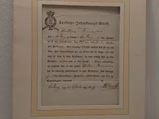 Indpodningsattest for kokopper fra 1819