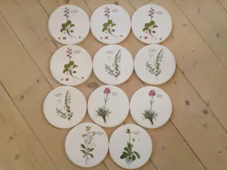Flora Danica Platter
