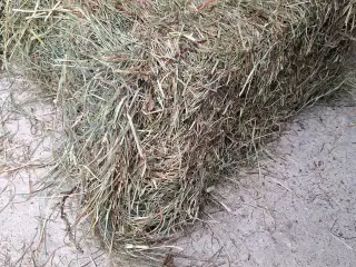 Øko Hø