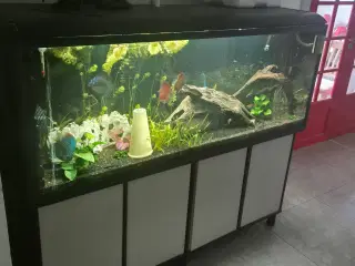 530 liters akvarie