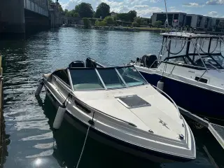 18 fod speedbåd - Campion Allante 185